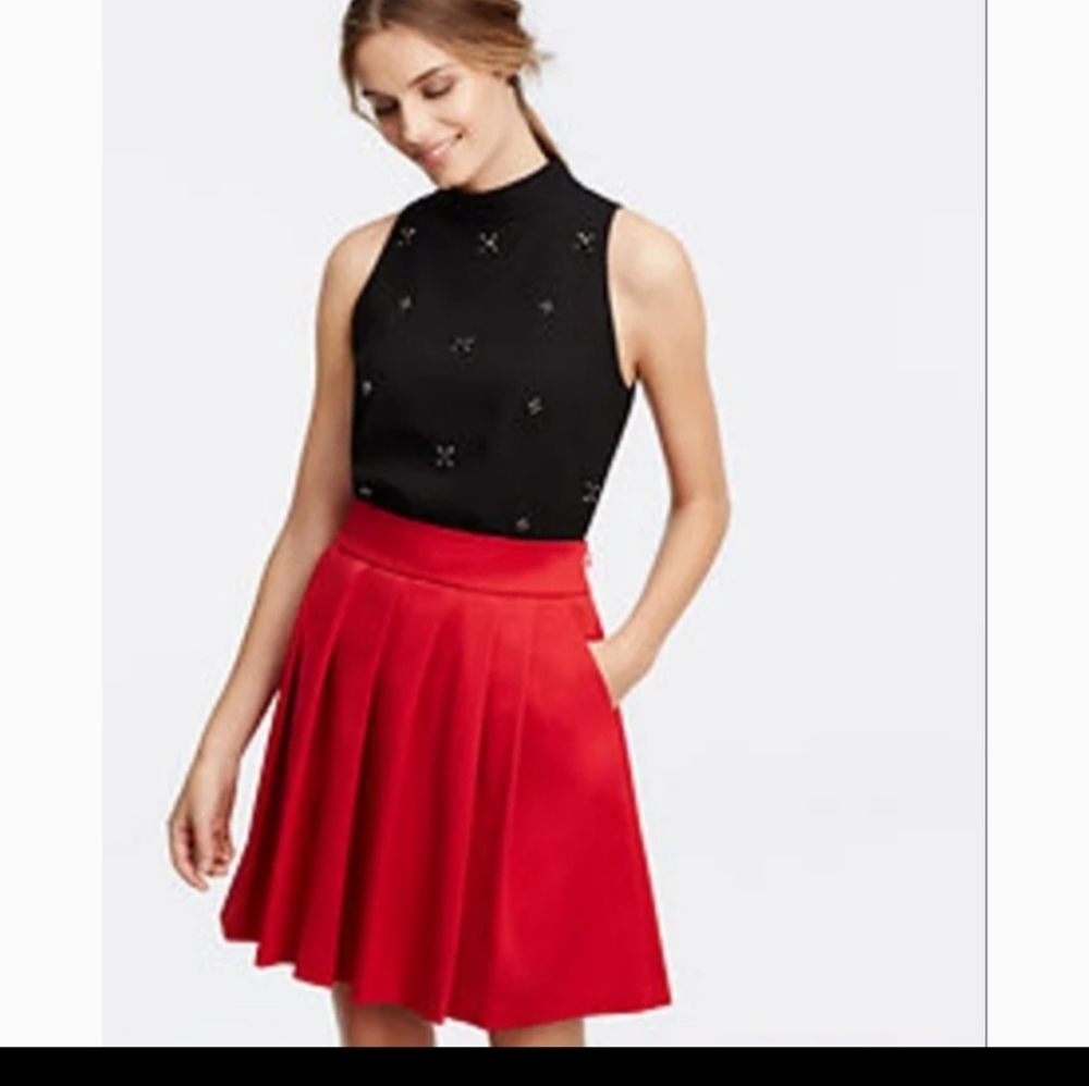 Ann Taylor Pleated Skirt